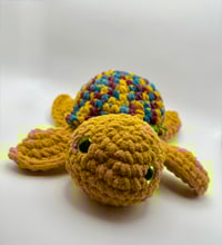 Image 1 of Honey Swirl the Turtle