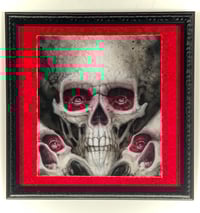 Image 1 of tri-skull 2015-25