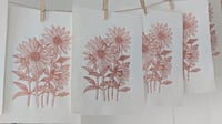 Image 5 of Sunflowers Print