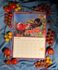 Image 4 of 2026 Calendar