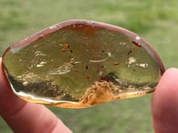 Image 11 of Copal Amber With Preserved Insects #2631