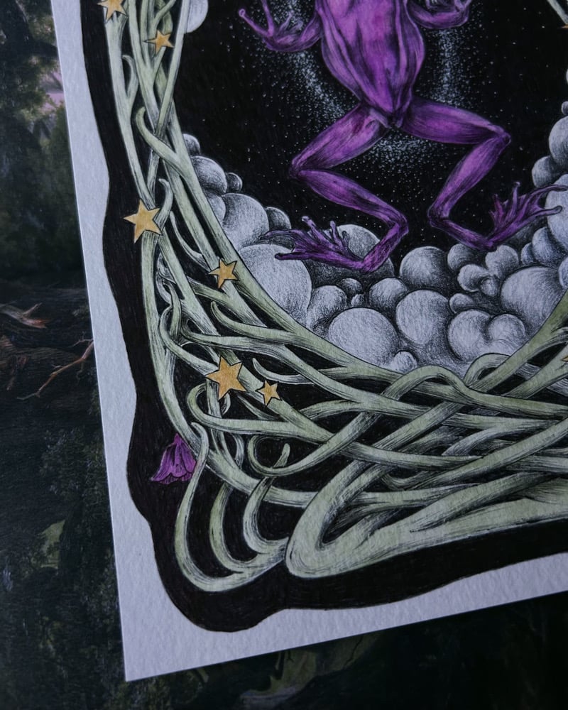 Image of The Frog Realm