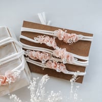 Image 2 of Blush Blossom - Mini