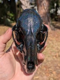 Image 1 of Holographic Raccoon