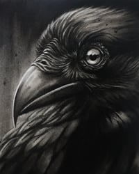 Image 1 of “Ravens Eye”