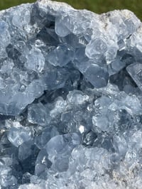 Image 6 of Celestite Cluster #1800