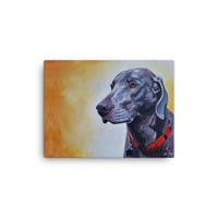 Image 3 of Glowing Weimaraner - Boone