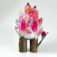 Image 1 of Frosted Fruit 2026 Elder Pyre