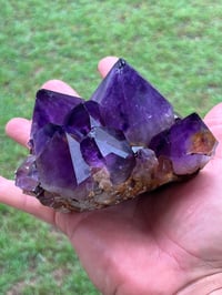 Image 22 of Amethyst Points Cluster | Congo #2869