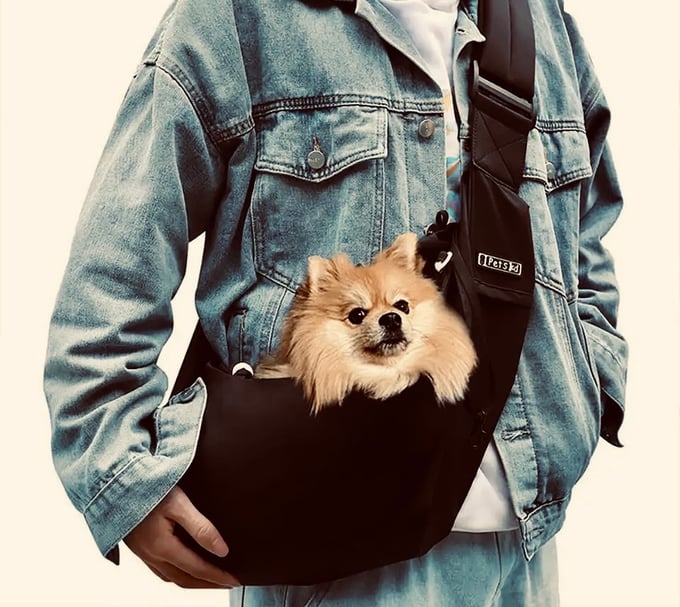 Image of The Pet Bag