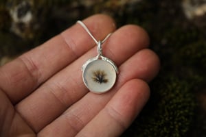 Image of Moss Collector necklace 