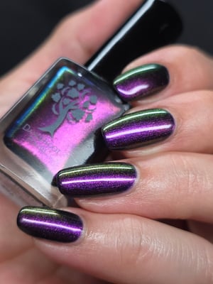 Image of Little box of Horrors 