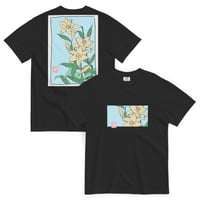 Image 3 of Lilies & Lullabies