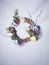 Beachy Topical Winter Wreath with Succulent and Sea Shells 