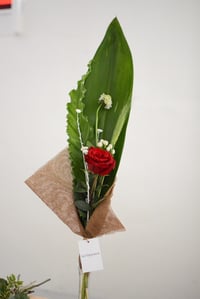 Image 4 of Rosa de Sant Jordi - La diferent 