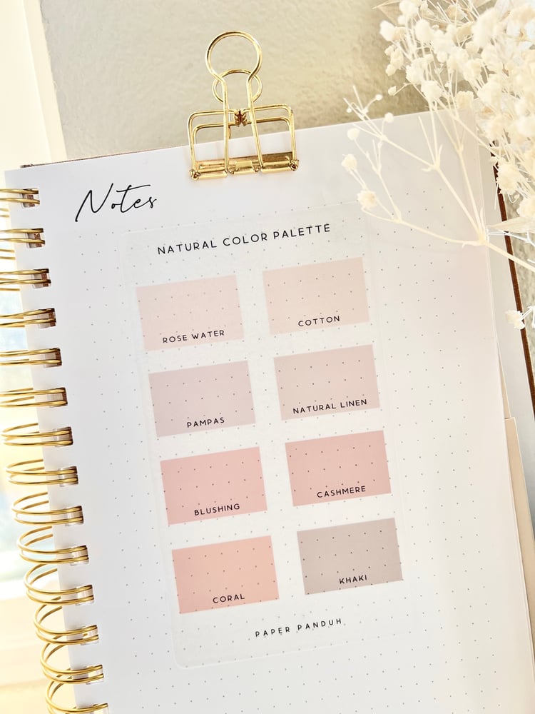 Natural Transparent Mini Shapes Set | paperpanduh