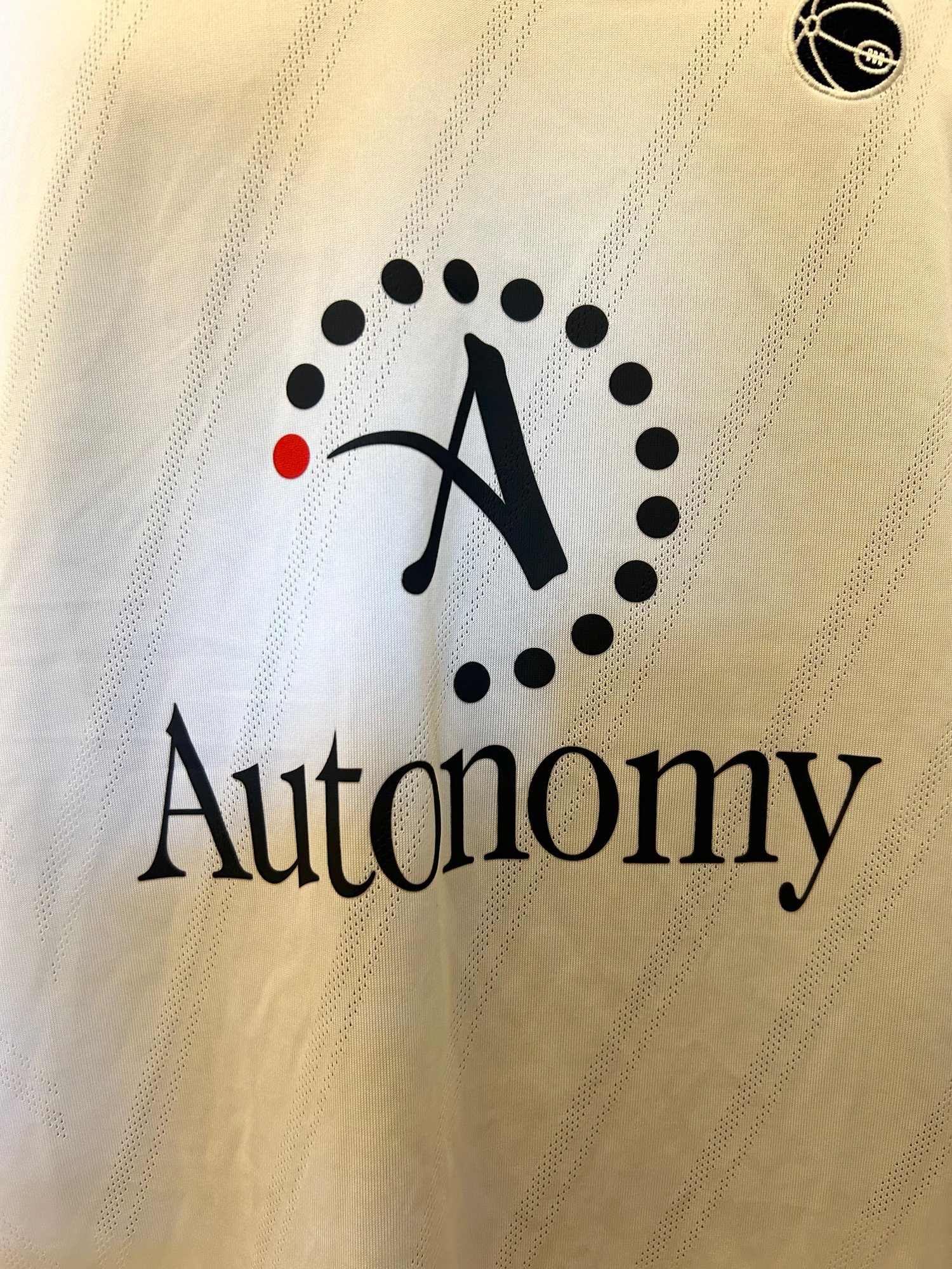 Image of Tottenham Hotspur “BALE 3” 2010/11 Home Shirt + PL patches (M)