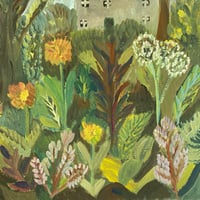 Image 2 of A cottage garden between spring and summer