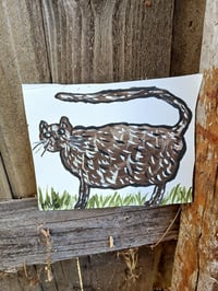 Image 1 of Cat