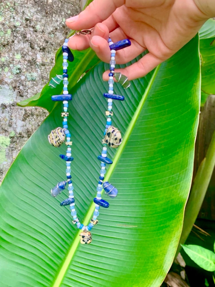 Image of Vanda