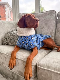 Image 1 of TANKIE ROLLNECK JUMPER