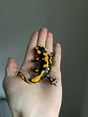 Fire Salamander Painted Model