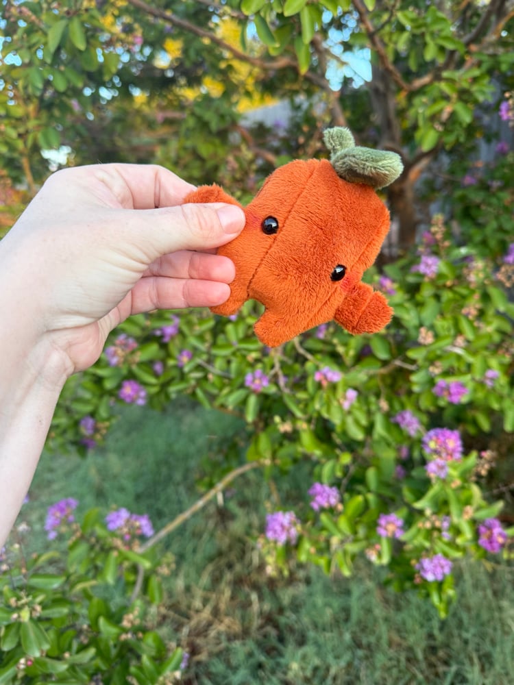 Image of Dark orange pumpkin