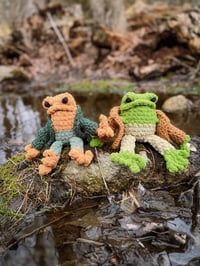Image 4 of Best Friends Frog + Toad Book Buddy | Made to Order