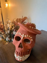 Image 3 of Alma Viva Skull