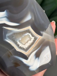 Image 3 of XL ORCA AGATE FREEFORM -MADAGASCAR-