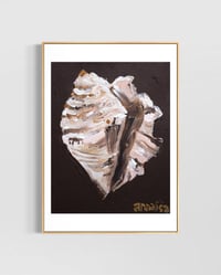 Image 2 of Conch Shell Print