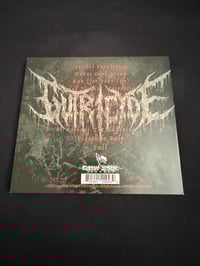 Image 2 of GUTRICYDE - “Gutricyde”