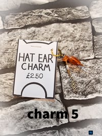 Image 14 of Ed's hats and charms