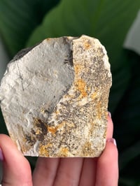 Image 3 of SELF STANDING DENDRITIC FELDSPAR -ITALY- H