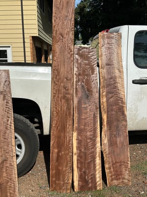 Various figured walnut boards.