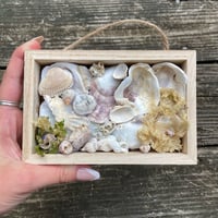 Image 2 of Beach Box #5