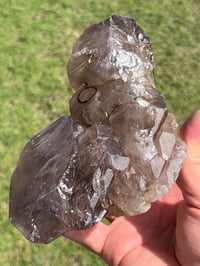 Image 23 of Smoky Quartz & Red Rutile Enhydro Multi Terminated Crystal | Zambia #3052