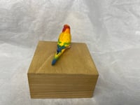 Image 10 of Custom Engraved Sunrise Conure Bird Mini Urn Pet Portrait To Your Photos
