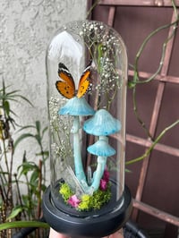 Image 1 of Blue mushroom glass dome 