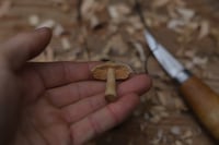 Image 4 of Mushroom pendant 