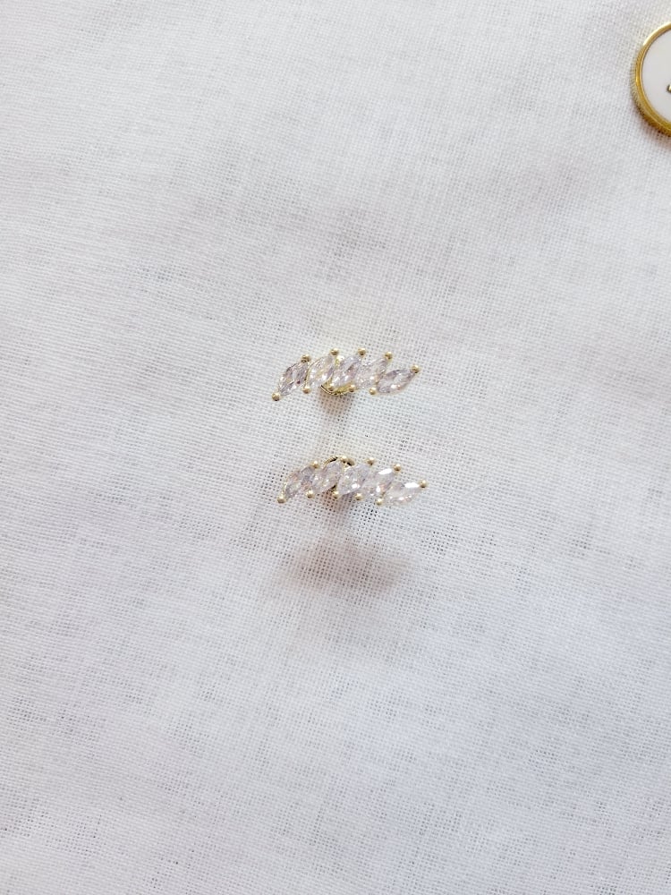 Image of Summer Earrings 