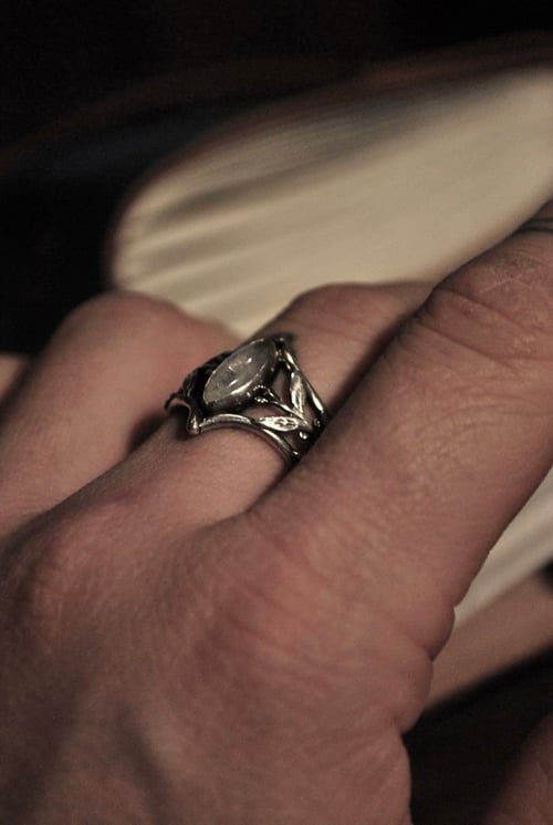 Image of The Healer - il guaritore