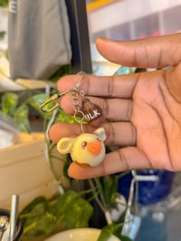 Image 2 of Moody The Chocolate Milk Cow