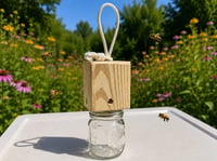 Image 1 of Woodbee Trap