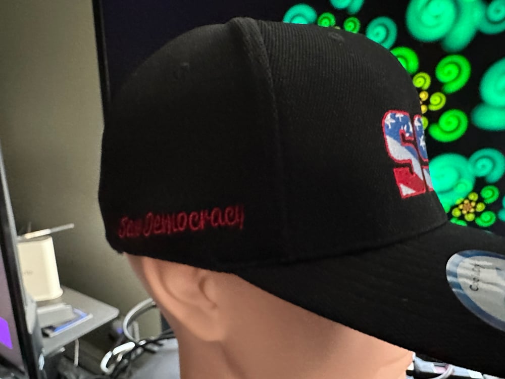 SSD Democracy hat with Vote Blue rear logo & Save Democracy side logo 