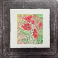 Image 1 of Poppies 