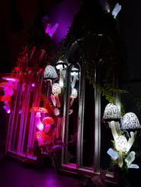Image 3 of Cathedral LED mirror