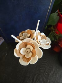 Image 4 of Fall Collection: Hazelnut Mix