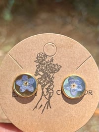 Image 2 of Petite Petals Stud Earrings 