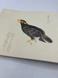 Image 2 of Birds of Edo
